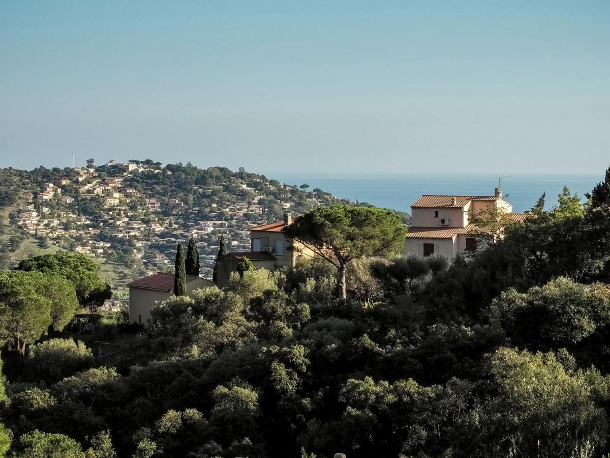 Snug Holiday Home In Bormes Les Mimosas With Pool Dış mekan fotoğraf